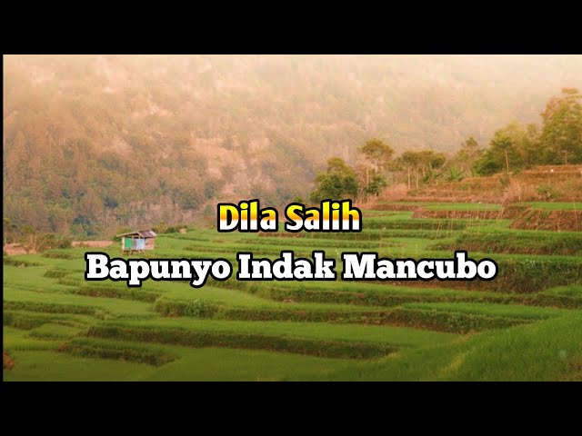 ( VIDEO LYRICS) Lagu Minang Dila Salih - Bapunyo Indak Mancubo || Terbaru 2024 || class=