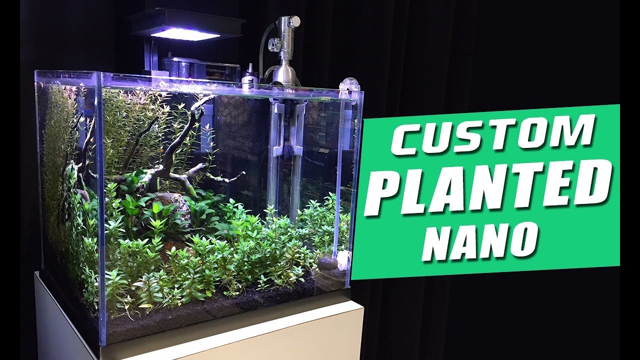 knijpen Bruidegom Geld lenende Fluval Flora Planted Aquarium Kit - YouTube