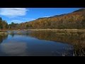 My Outdoor Journal - Beaver Pond Brook Trout My Outdoor Journal - Beaver Pond Brook Trout