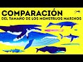 El megalodón vs. la ballena azul: quién es el gigante del mar n.º 1