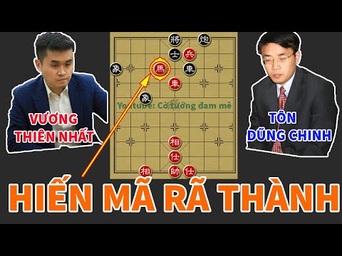 Video Giải Mã Ván Cờ Tướng Dậy Sóng Kỳ Đàn: Bạch Miêu vs Kẻ... - youtube