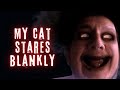 My cat stares blankly  short horror film