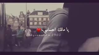 عنيي عنيي سيف نبيل حالات واتس Mp3