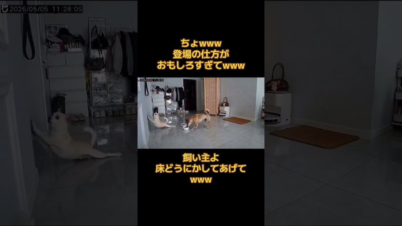 床すべり
