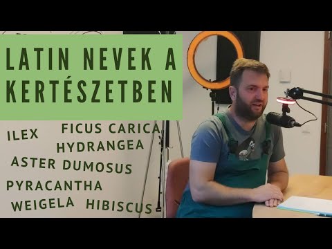 Videó: Latin növénynevek – Miért használunk latin neveket a növényekre?