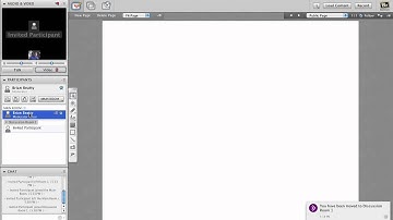 Using Blackboard Collaborate, how do I move web conference participants into virtual breakout rooms?