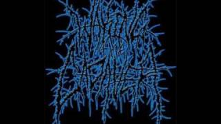 Waking The Cadaver- Pig tails are for Face fucking- *lyrics*