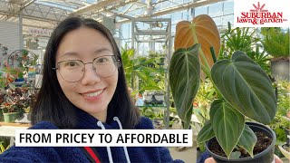 From Pricey to Affordable CRAZY Plant Finds & Shopping with Me at Suburban (Kansas City, MO)