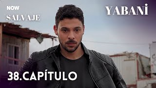 Salvaje 38. Capítulo / Yabani 38. Bölüm fragman / #serie #seriesturcas / En español