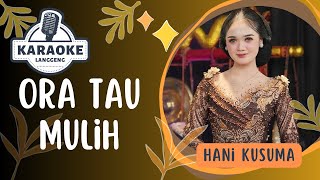 Karaoke - ORA TAU MULIH - Hani Kusuma | LANGGENG MUSIC DIGITAL