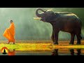 🔴 Tibetan Meditation Music 24/7, Yoga, Meditation, Relax, Sleep, Healing Music, Study Music, Zen