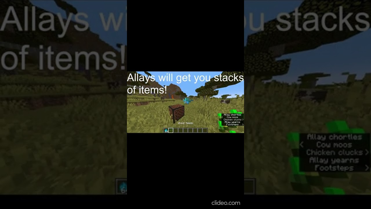 best features of minecraft 1.19 