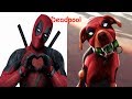 Superheroes In Real Life As Dogs 2017 | Teen Titans Go In Real Life | Young Justice In Real Life