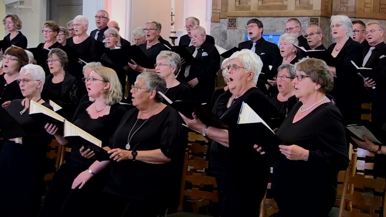 50 jarig Jubileumconcert Harry hamer