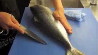 How to fillet Kingfish with Deba knife