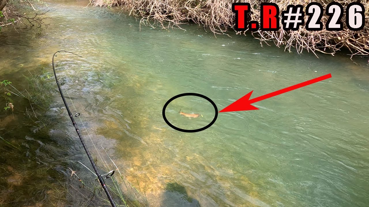 ⚠️PESCANDO TRUCHAS CON VINILOS AGUAS HACIA ABAJO👈