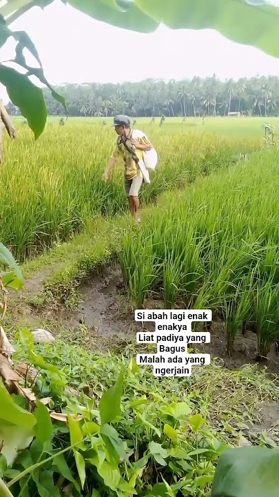 kaget pisan #hiburan #bodorsunda #videolucu #shotrs