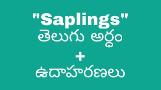 Meaning of Saplings in Telugu with examples | Saplings Meaning in Telugu @meaningintelugu