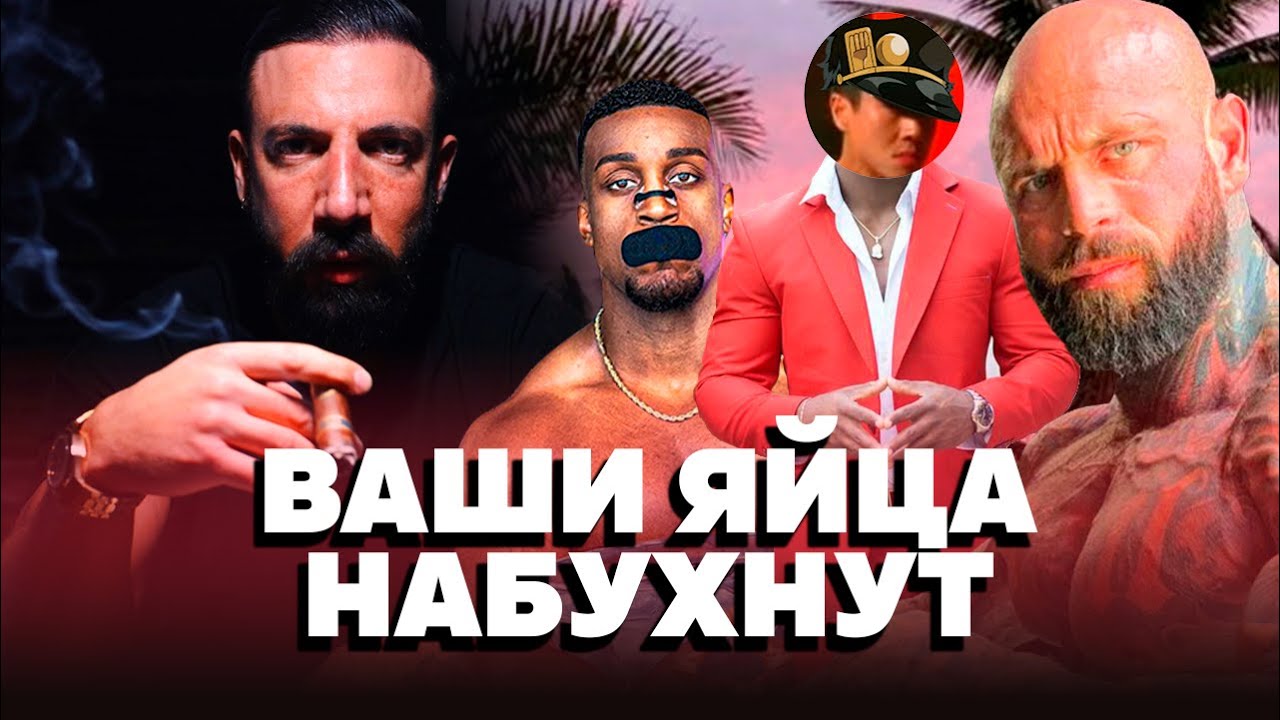 АЛЬФАЧИ ЗАХВАТИЛИ ИНТЕРНЕТ