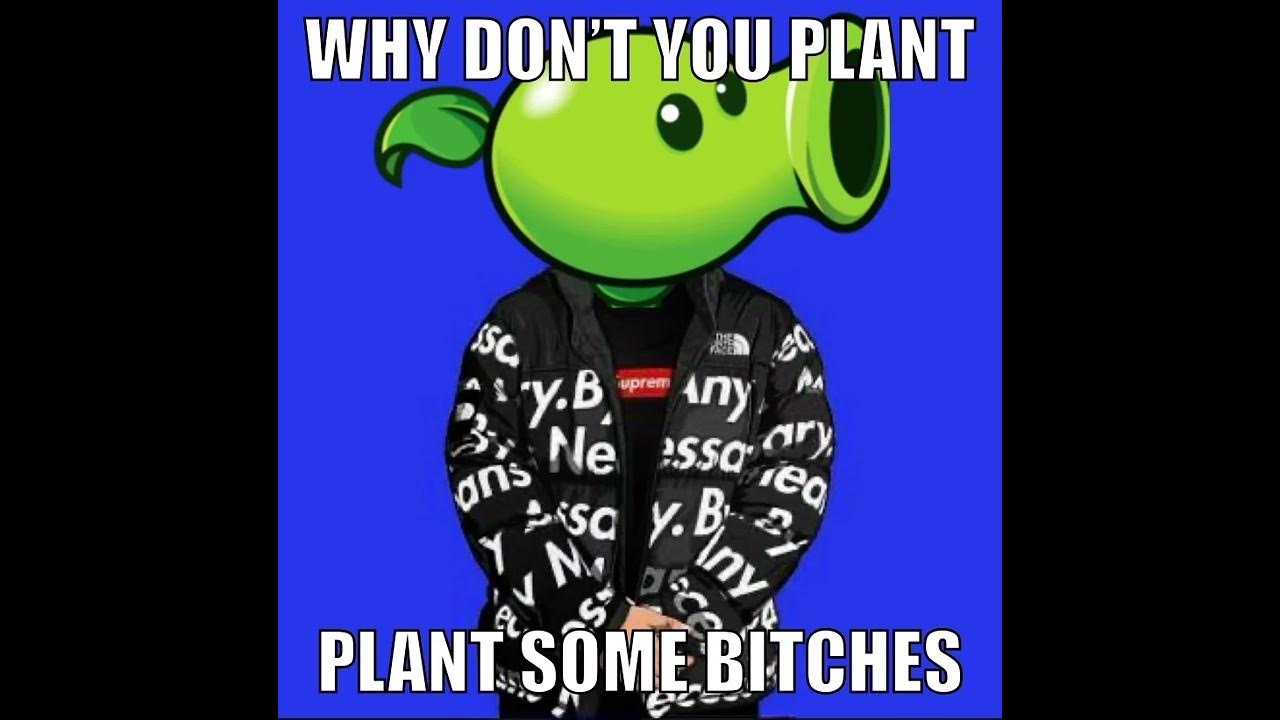 Plants vs Zombies Drip YouTube