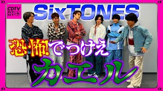 【CDTV】SixTONES⚡️恐怖！でっけえカエルvs 森本慎太郎