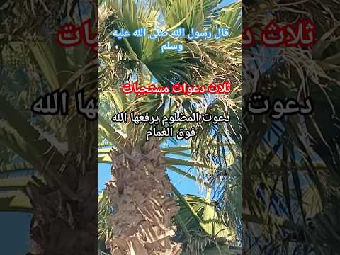 قال رسول الله صلى الله عليه وسلم دعوت المضلوم ترفع فوق الغمام صلوا على النبي