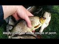 Coarse Fishing on the Canal in Co  Kildare Ireland for Bream / Roach / Perch