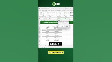 TRUQUE para APAGAR LINHAS como PROFISSIONAL no EXCEL