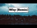 Shawn Mendes Why Ft Leon Bridges Remix Lyrics Panda Music mp3