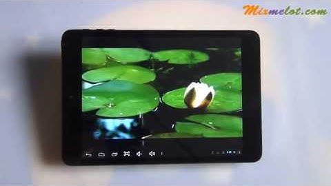 Freelander PD300 Dual Core Tablet PC w/ Allwiner A20 1GB+16GB 7.85" Touch Screen Android 4.2