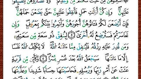 ختمة مصحف التجويد برواية قالون الصفحة رقم 559