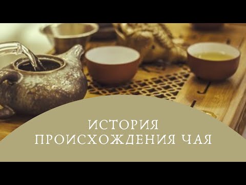 История появления чая в Китае