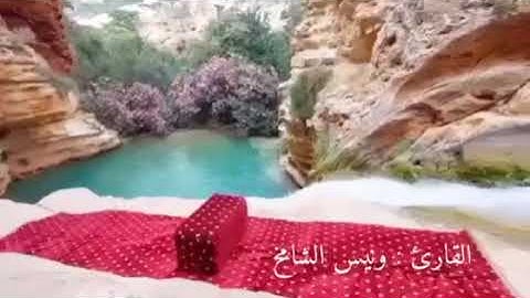 القارئ : ونيس الشامخ
