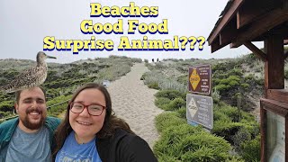 I Spent 24 Hours in Monterey, California - Surprise animal encounter! by Moonstone Mountaineer 250 views 10 months ago 9 minutes, 39 seconds