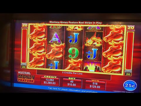 MAJESTIC CASINO GOA #music