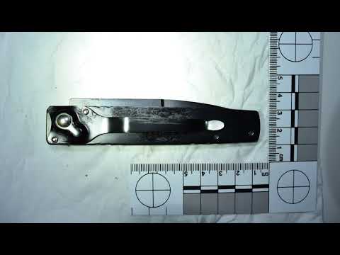 ხორავას ქუჩაზე მომხდარი მკვლელობის საქმის მასალები