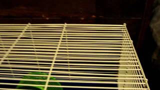 Part 8- Peach Sleeping..sweet Dreams 9.10.11