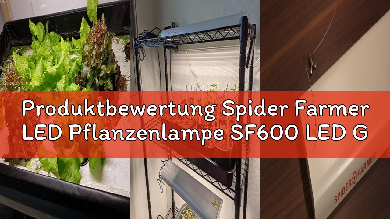 Produktbewertung Spider Farmer LED Pflanzenlampe SF600 LED Grow Lampe Vollspektrum Grow Light Wachst