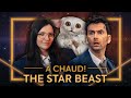 Doctor who  the star beast  critique a chaud