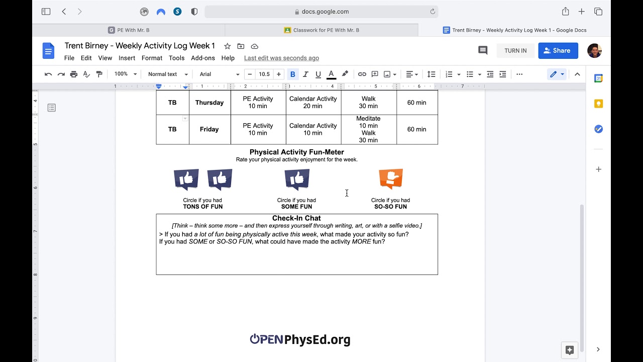 Weekly Activity Log Assignment Tutorial - YouTube