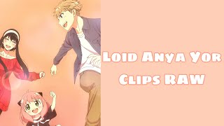 Loid Anya Yor Clips RAW | HD Quality Long Duration (link download in description)