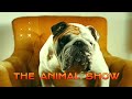 The animal show   oc burning studio 1972