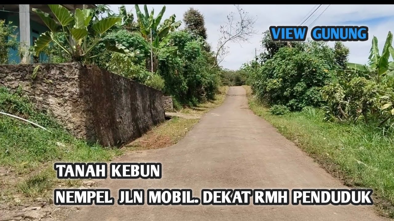 Dijual tnh kebun nempel jln mobil ke jln angkot 200 mtr  dekat ke indomart alfa Mart  ke kantor desa
