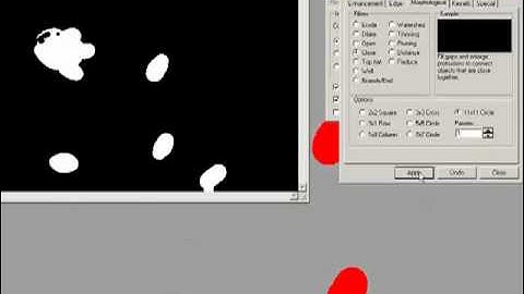 Phase Microscopy Analysis - Image-Pro Plus Software