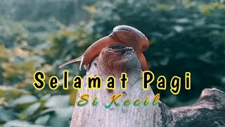 Story WA | Cinematic 30 detik | Selamat Pagi|Soon We'll Fly-Goshtrifter (no copyright music)