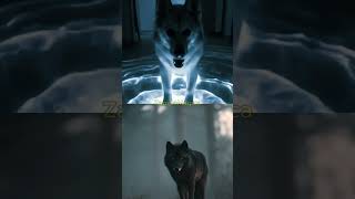 Perché il tuo cane è così felice quando torni 🐶 #cane #doglover