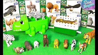 New Wild Animals Takara Tomy Collection - White Tiger, Bear, Tiger, Lion, Cheetah, Crocodile