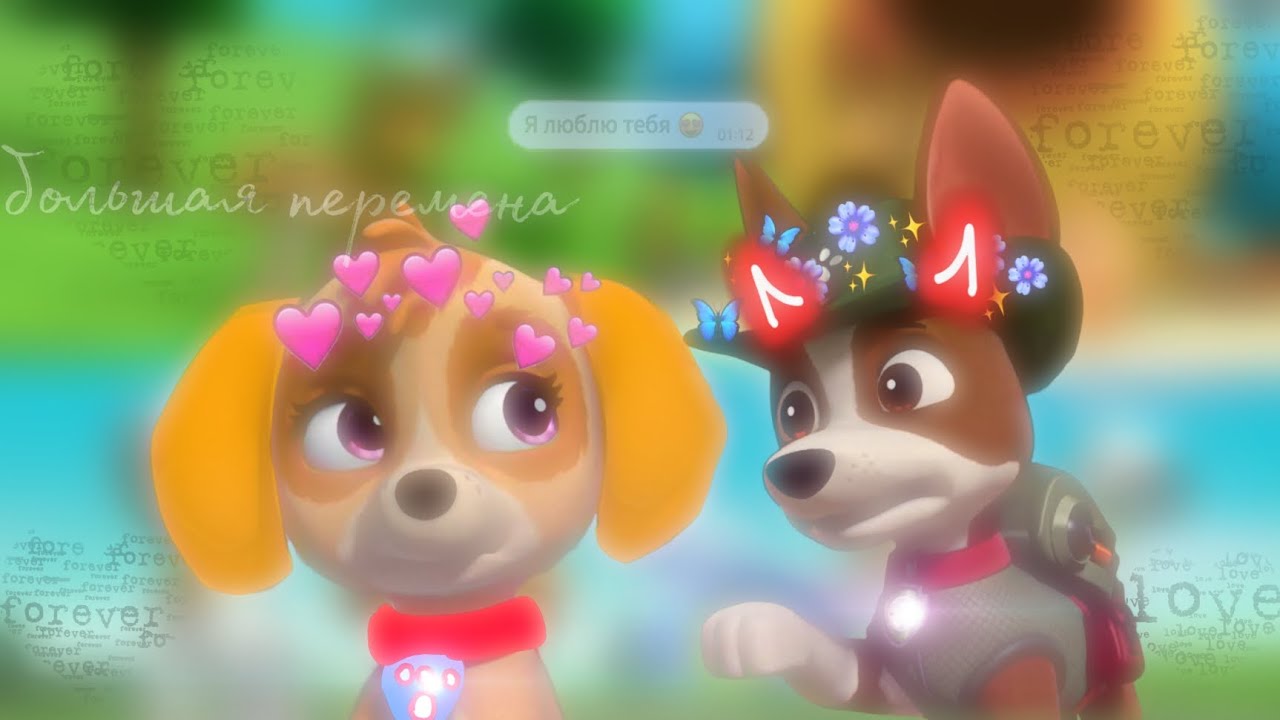 🔑🛎коллаб с @Kotik20243🔑🛎