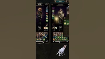 Manage Companion Loot WITH EASE! #bg3 #baldursgate3 #mods #shorts