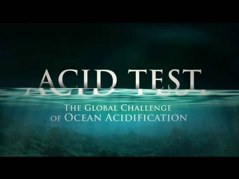 Acid Test: The Global Challenge of Ocean Acidification